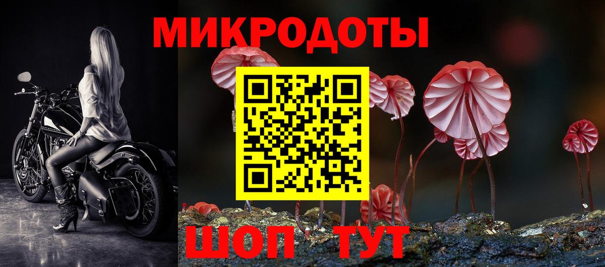 Галлюциногенные грибы мицелий Кудымкар
