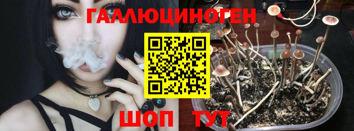 Кудымкар  Псилоцибиновые грибы Magic Shrooms  Вход с VPN 